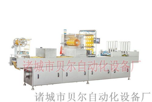 全自動(dòng)拉伸膜食品包裝機(jī)械 真空包裝機(jī) 山東廠家直銷(xiāo)