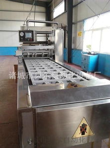 中國氣調(diào)包裝機(jī)排名前三品牌 貝爾全自動盒式包裝機(jī)及其應(yīng)用